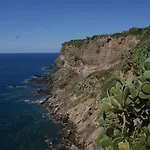 Agave E Ginestra 3*