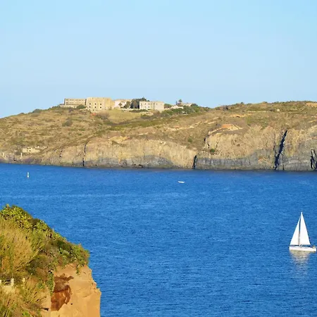Agave E Ginestra Ventotene