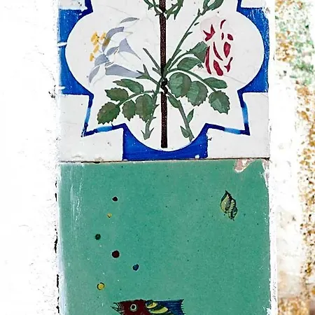 Agave E Ginestra 3* Βεντοτένε