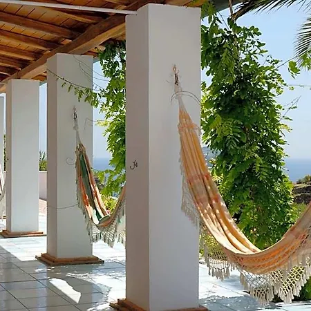 Agave E Ginestra 3*