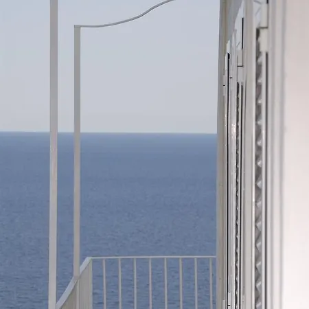 Agave E Ginestra Ventotene