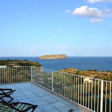 Agave E Ginestra Ventotene